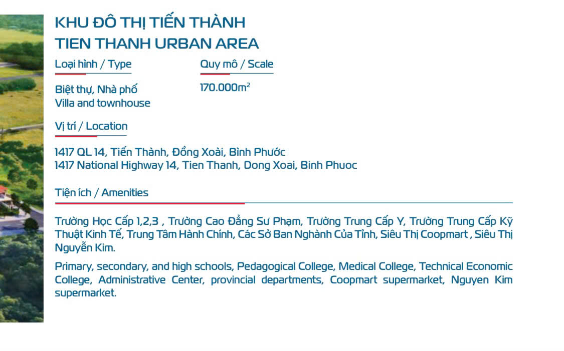 tổng quan dự án